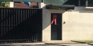 cicigsedecicigfotojerson2-63a7f1c4a85e09e7bbc6a0b38709c4f2-1200x600