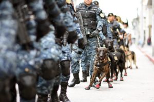 Desfile-PNC-FA-190718-1024x682