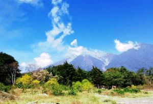 Screenshot_11