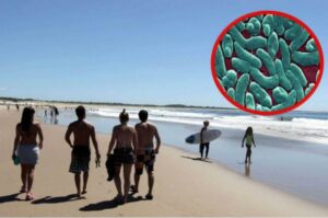 bacteria-come-carne-aumentan-casos-calentamiento-global