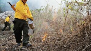 NAC 04042019 INCENDIOS 12