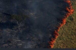 incendios-forestales-destruyen-amazonas-selva-brasil-