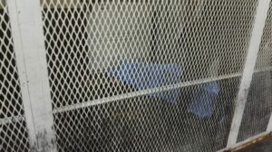 reo-muere-carceletas-Torre-Tribunales-Emisoras-Unidas-Guatemala