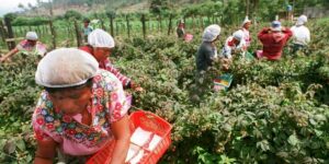 trabajadoresenel-9a871e36d9f8b326800fa70e51ca8084-1200x600