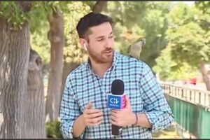 loro_robo_video_viral