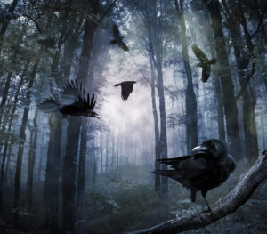cuervos-en-el-bosque-48381768