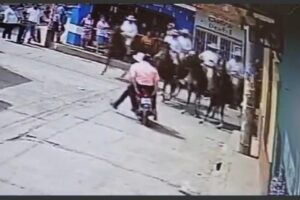 motorista_caballos_san_raymundo_desfile_hipico_